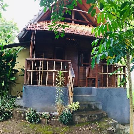Echo Alam Nusa Lodge Ped Buitenkant foto