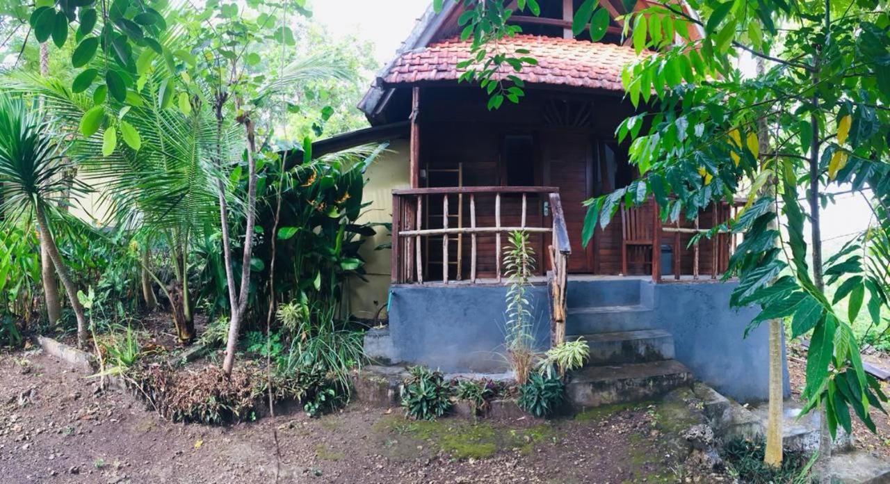 Echo Alam Nusa Lodge Ped Buitenkant foto