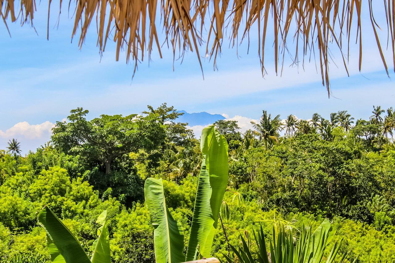 Echo Alam Nusa Lodge Ped Buitenkant foto