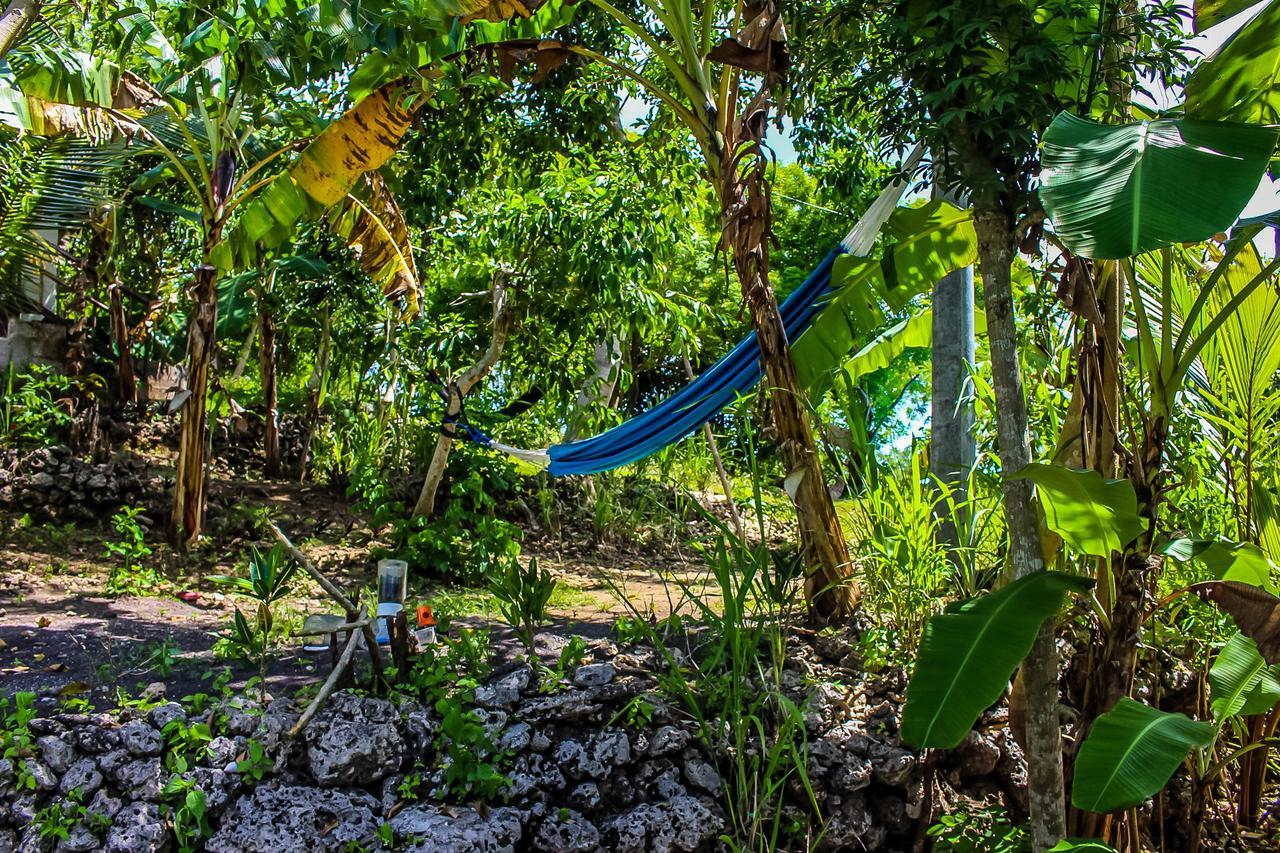 Echo Alam Nusa Lodge Ped Buitenkant foto