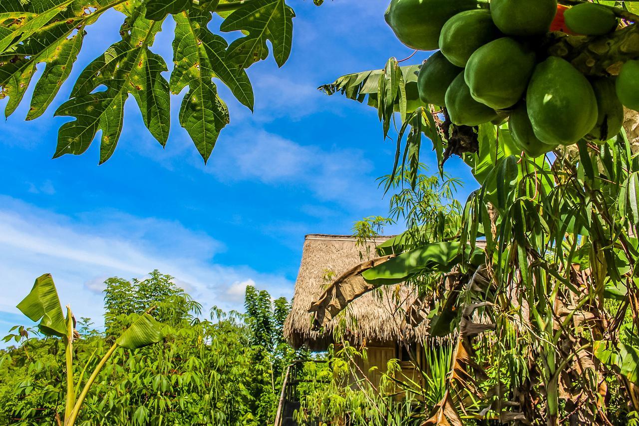 Echo Alam Nusa Lodge Ped Buitenkant foto